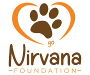 Go Nirvana Foundation Logo